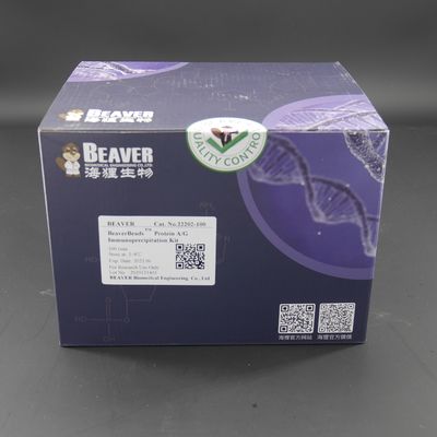 10 mg / mL Protein A Magnetic Beads Untuk Imunopresipitasi 100 Reaksi