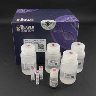 10 mg / mL Manik-manik Magnetik Protein A/G Untuk Imunopresipitasi 100 Reaksi