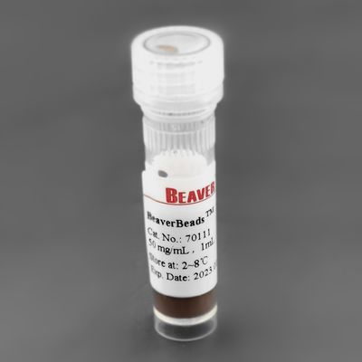 300nm 50 mg / mL 1 mL Manik-manik Magnetik Silika Untuk Ekstraksi Protein PC