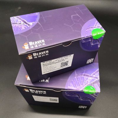 30-150 μm Agarose Strep-tag II Protein Purification Magbeads Kit 10% Rasio Volume