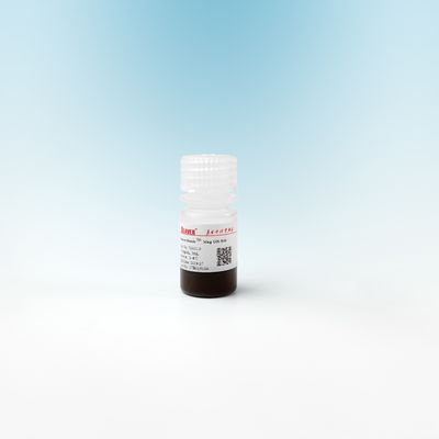 Mag OH Silica Magnetic Beads Untuk Ekstraksi DNA 500nm 10 mg / mL 5 mL