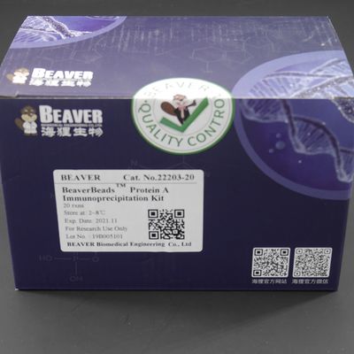 10 mg / mL Protein A/G Magnetic Beads Untuk Imunopresipitasi 20 Reaksi