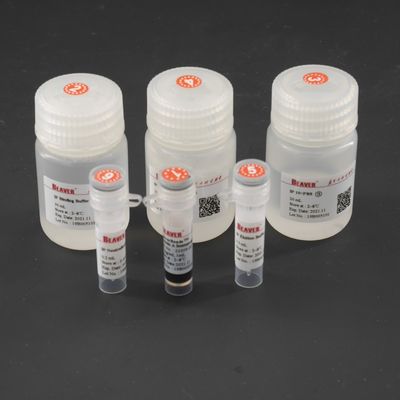 Manik-manik Magnetik 10 mg/mL Untuk Imunopresipitasi Untuk Penangkapan Target