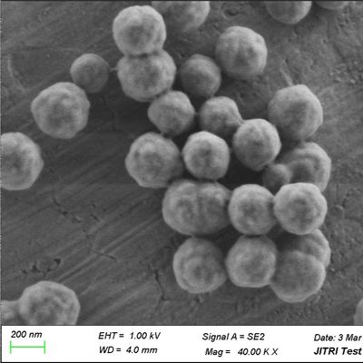 Manik-manik Magnetik Silika Fe3O4 Untuk Ekstraksi RNA PC 300nm 50 mg / mL 10 mL