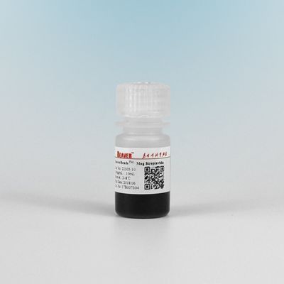 Manik-manik Magnetik Streptavidin 2μm Untuk Tangkap Probe 10 mg / mL 10 mL