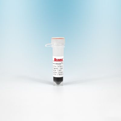 Manik-manik Polimer Magnetik NHS Preaktivasi N - Hidroksi Suksinimida Nanopartikel 2 μm