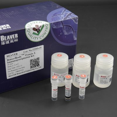 Kit Imunopresipitasi Protein A 10 mg / mL 20 Reaksi