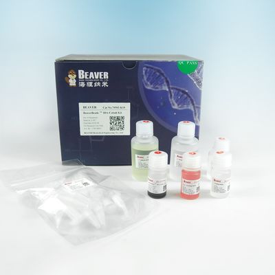 150 μm Tag Pemurnian Protein IDA Cobalt Magbeads Kit Rasio Volume 10%.