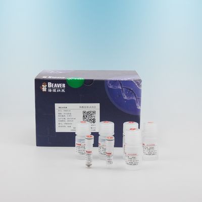 100 Reaksi Kit DNA Darah Untuk Ekstraksi DNA Darah Untuk Operasi Otomatis