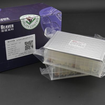 32 Reaksi V Kit RNA DNA Viral Bawah Untuk Pelat Ekstraksi Asam Nukleat Viral