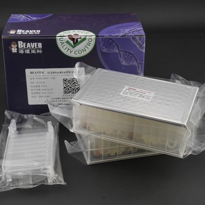 Viral DNA RNA Kit Kit Ekstraksi Asam Nukleat Pelat yang Diisi Sebelumnya 32 Reaksi U Bawah