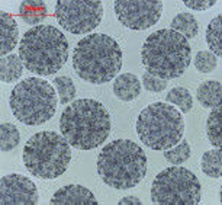 1000 mL Agarose Carboxyl Magbeads Untuk Pemurnian Protein Rasio Volume 20%.