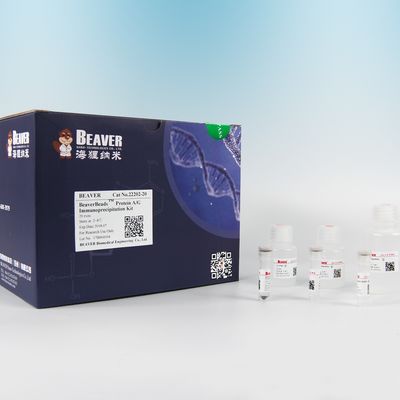 Protein A Magnetic Beads Untuk Imunopresipitasi Oleh Mikrosfer Superparamagnetik