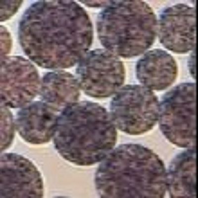 Manik-manik Magnetik Agarosa NHS Preaktivasi N - Hidroksi Suksinimida Nanopartikel