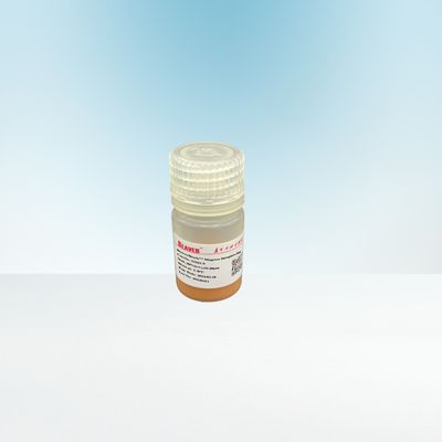 10-30μm Agrose Streptavidin Magnetic Beads 20% untuk Biotinylated IgG 5 mL