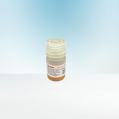 Pemurnian Protein Agarosa Carboxyl Magbeads 10 - 30 μM 20% Rasio Volume
